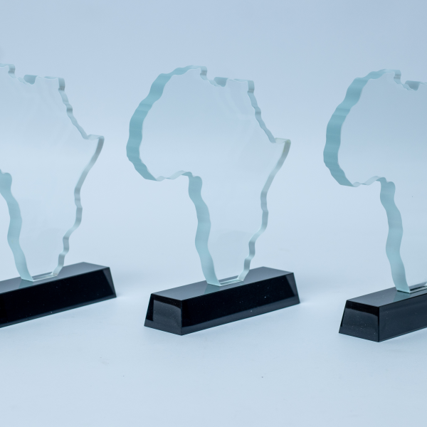 Executive/CEO Award