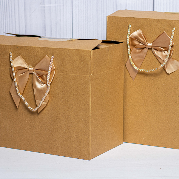 Classy Landscape Giftbag